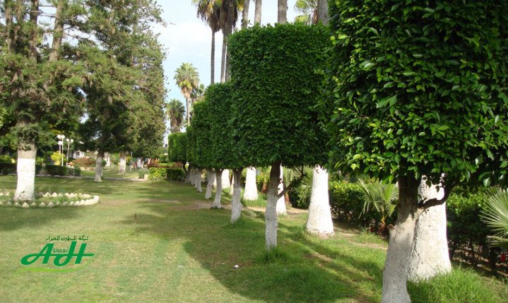 1497d311-bc66-446a-8e27-d5c07b601ace