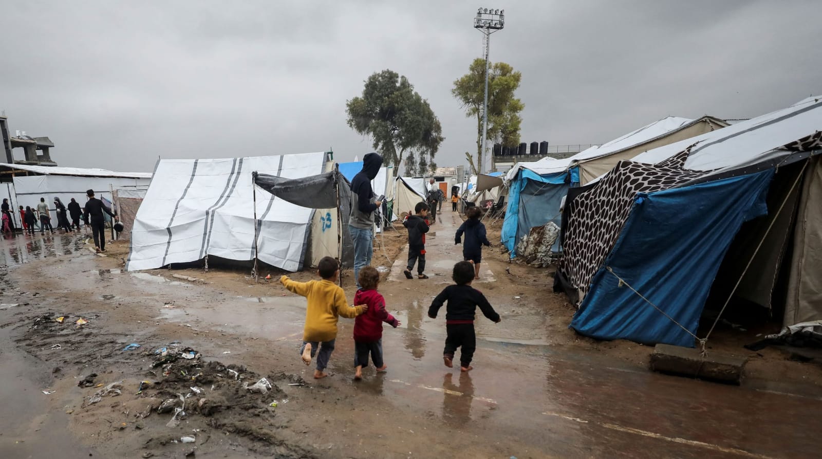 1b9221b0-1a14-4860-b3b4-65cf7efe447f