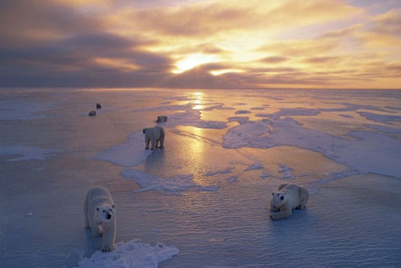 2df0014f-a0b1-475e-a469-40f81088b977