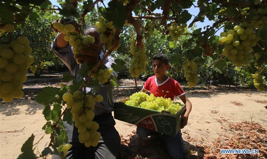 813828c3-8df3-46f9-925a-877242b76670