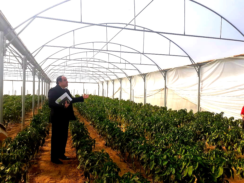 IMG-20210124-WA0036_enhanced