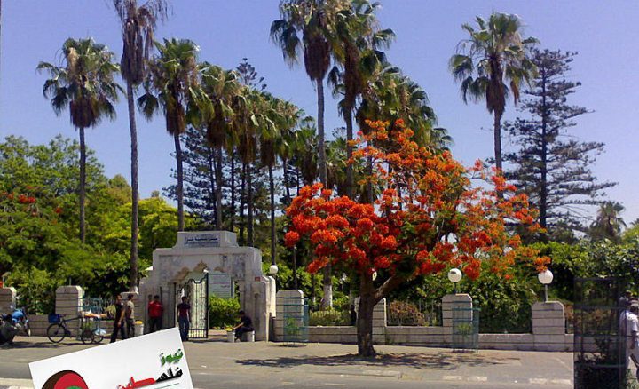 c58651f2-4584-4cd6-a5d2-824d51467b03