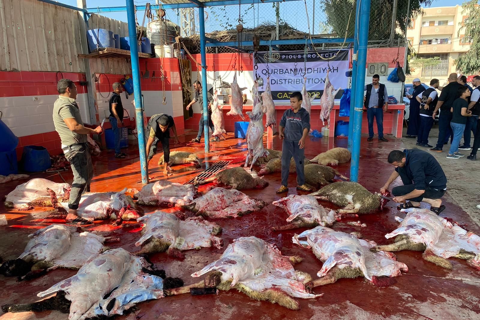 RuvB65HA-e1743351007710